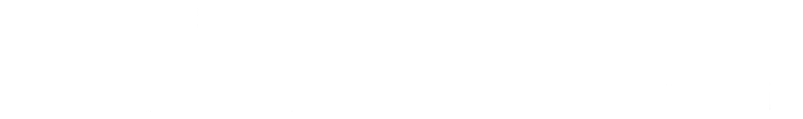 logo icon